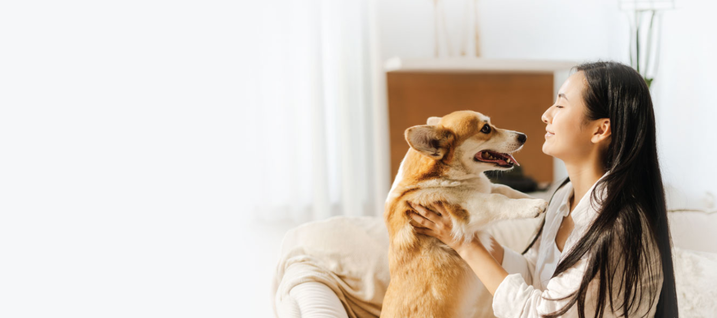 OCBC Platinum Pet Lovers