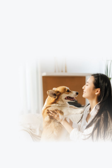 OCBC Platinum Pet Lovers