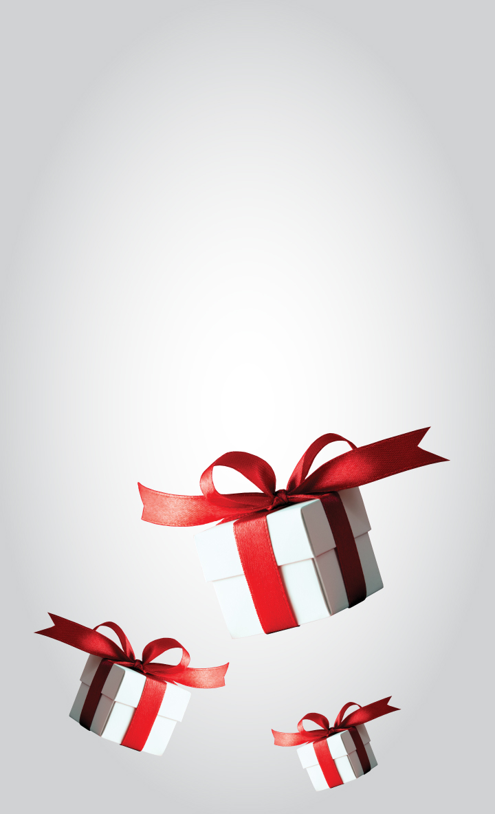 Broker & Developer Program