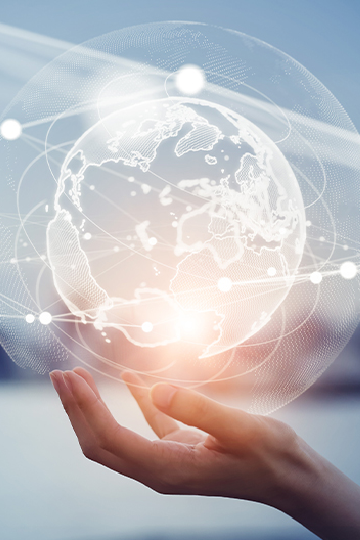 Jaringan Bisnis Regional 