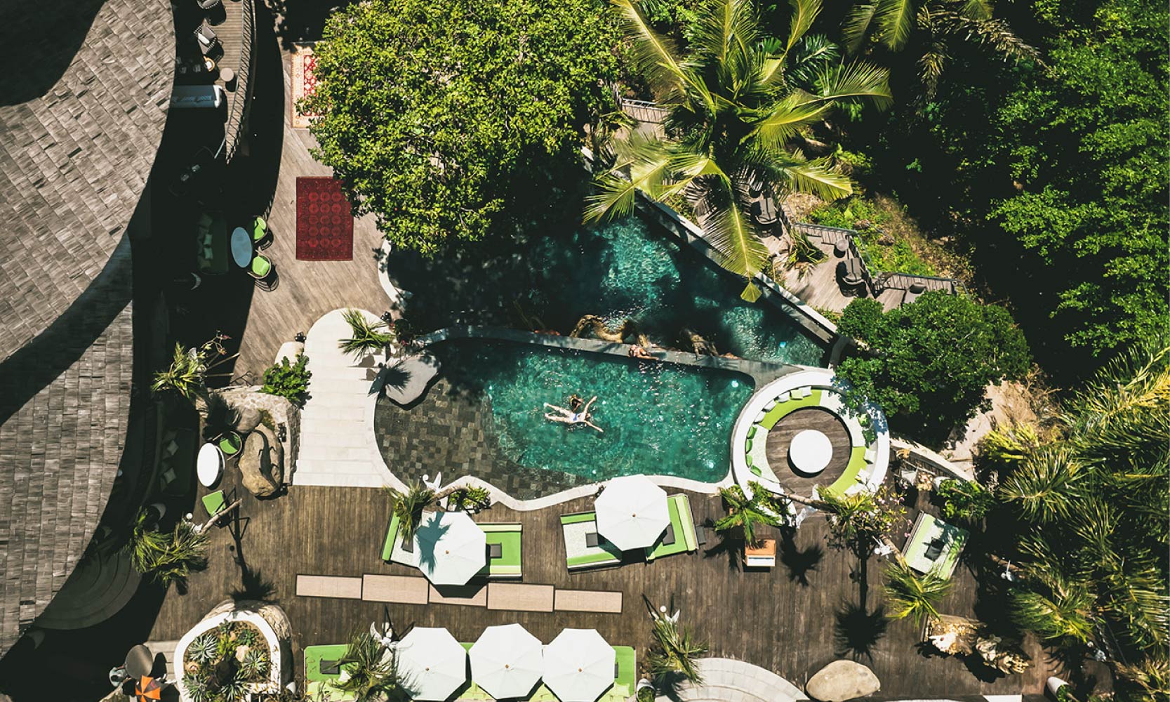 Save 15% or get bonus signature cokctail - The Jungle Club