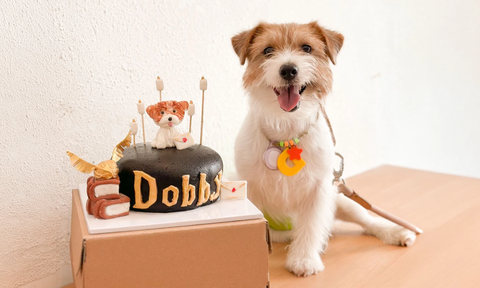 Hemat hingga 20% - Woof Bar