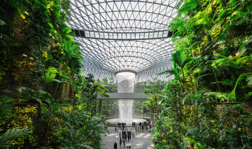 Experience Singapore Better with OCBC Global Debit